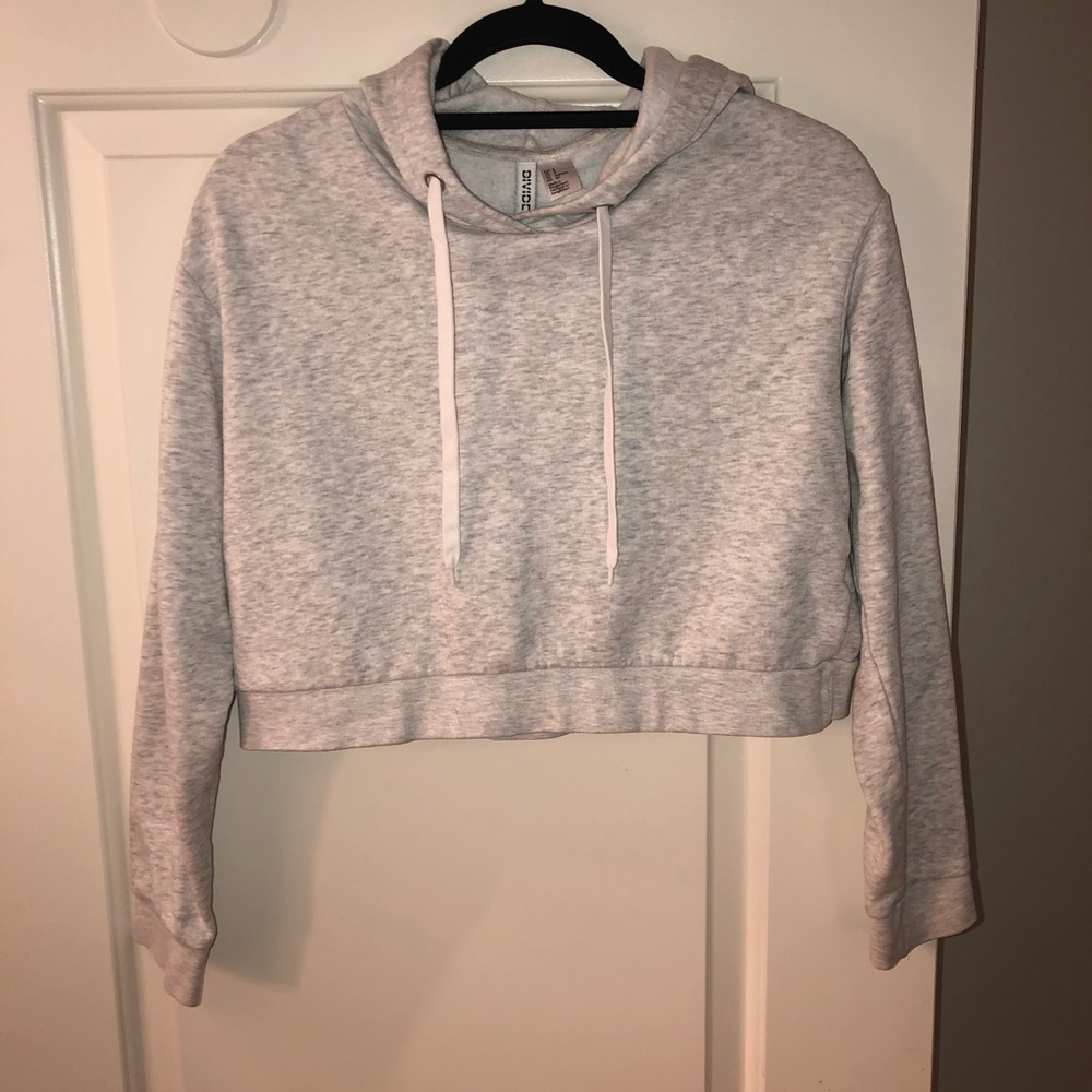 H&M Crop Hoodie